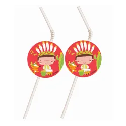 Indian Indian Party Cannucce in plastica 6 pz