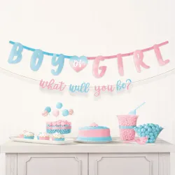 Cartello in carta da 2 pezzi Boy or Girl The Big Reveal