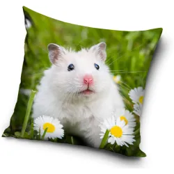 Fodera per cuscino Animali Topo 40*40 cm