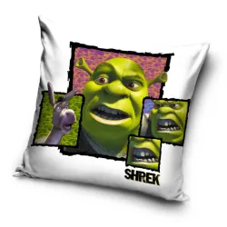 Fodera per cuscino Shrek 40x40 cm Velluto