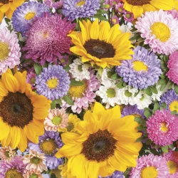 Tovagliolo Fiore Colorato Estate 20 pz 33x33 cm