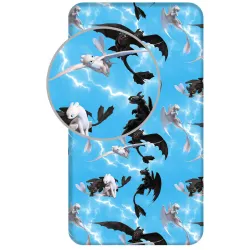 Lenzuolo con angoli How To Train Your Dragon Family 90x200 cm